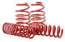 Höherlegungsfedern +30mm